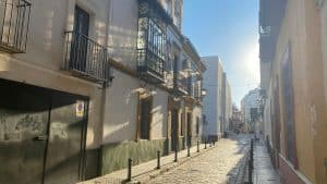a cobblestone street in a small town