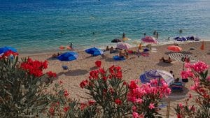 people on beach during daytime