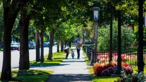people walking on sidewalk near trees during daytime