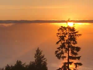 Sunset over the Salish Sea from Ocean Melody Vacation Rooms, a fir tree silhouetted against the sun