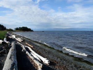 Driftwood logs along the pebble shore at Pipers Lagoon Park in Nanaimo, with the sea and the mainland mountains beyond