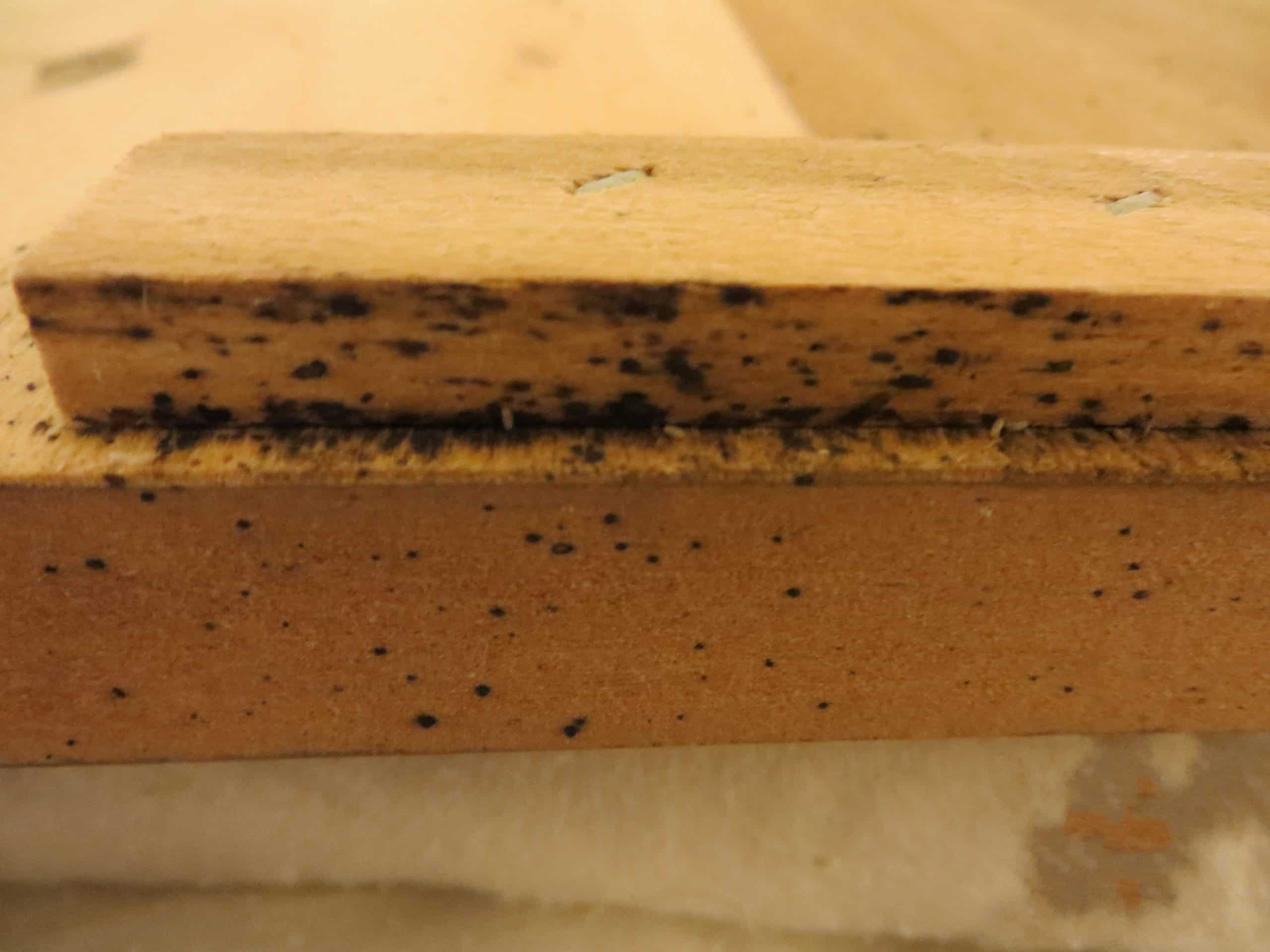 Dark specks and smears along the edge of a wooden bed frame