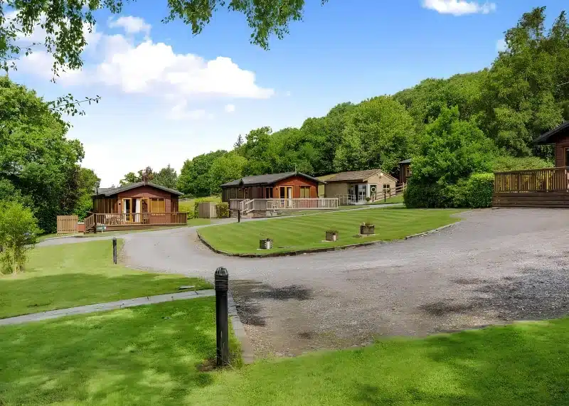 Timber lodges with dark roofs set on lawns below a wooded hillside at Charlesworth Lodges.