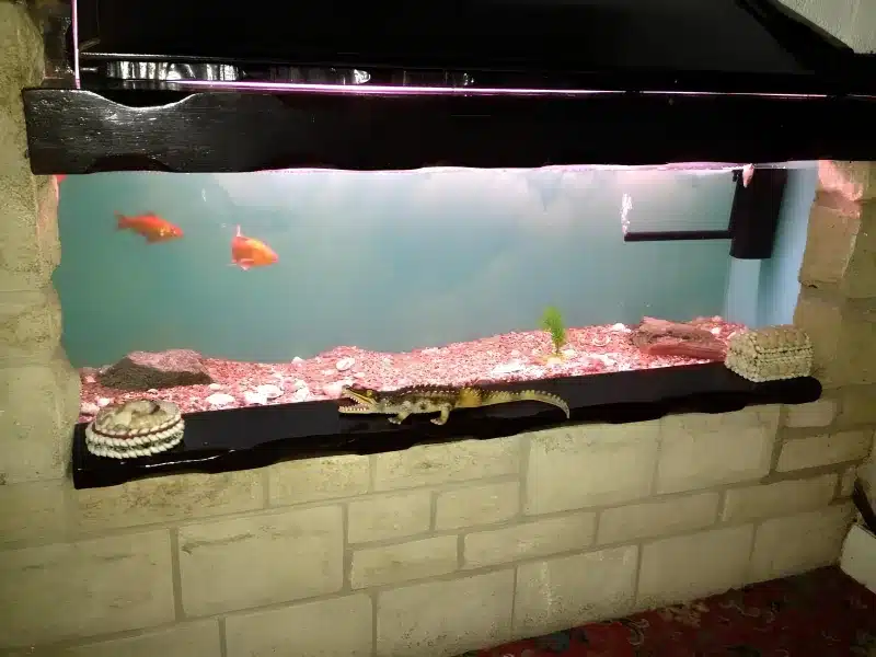 A wall aquarium with two orange fish, set into a stone surround at Liverpool Airport Rooms.