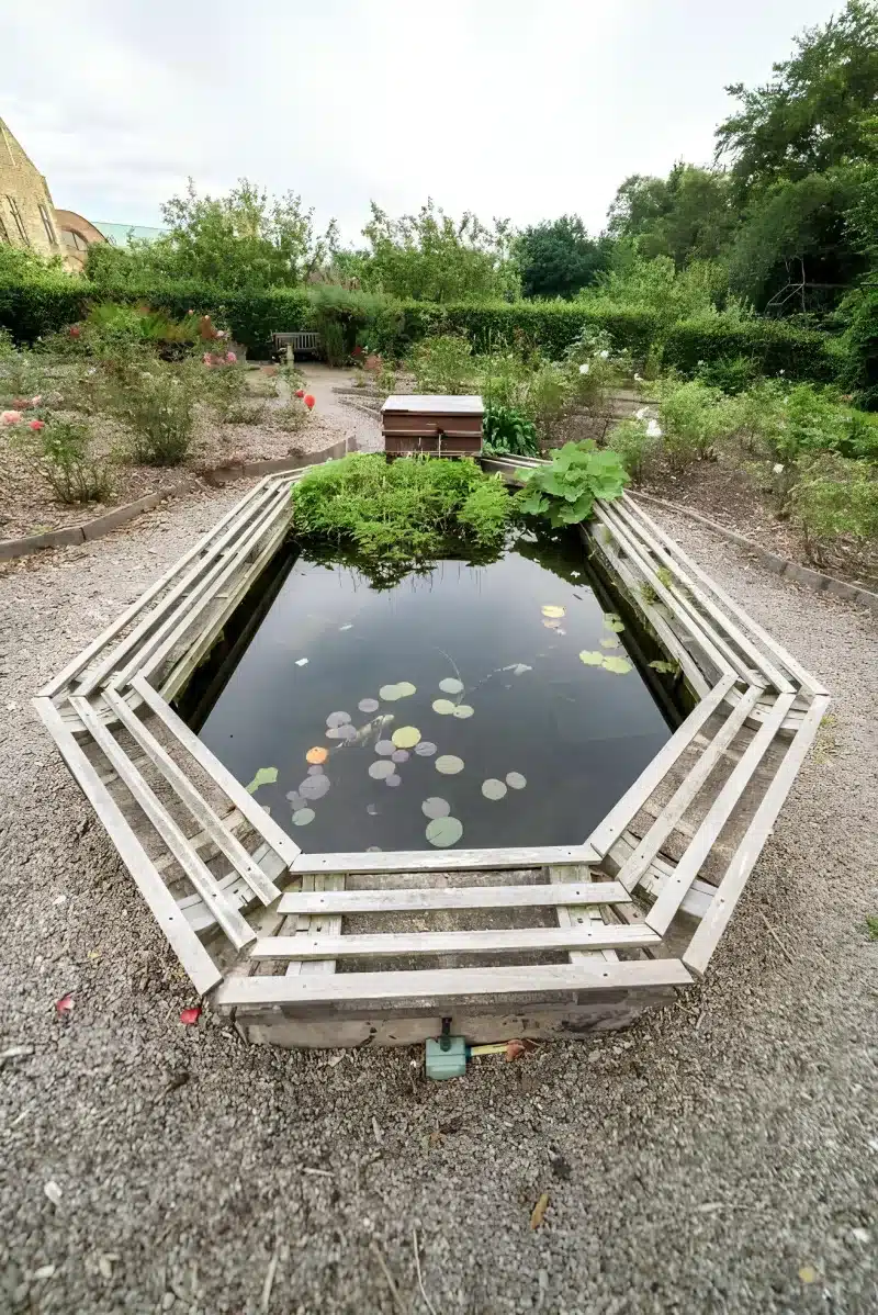 An octagonal pond with lily pads in a rose garden, and a stone building beyond the hedge.