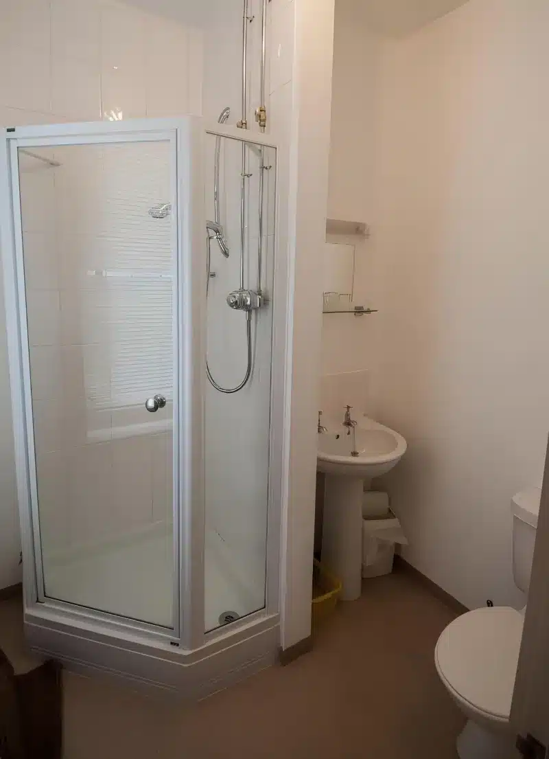 A glass shower, a pedestal basin and a toilet in a white bathroom.