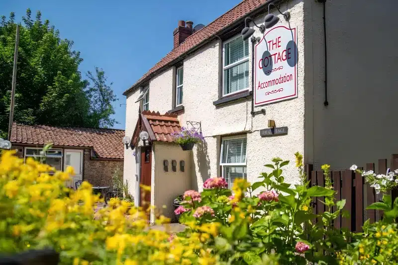 The Cottage guest house in daylight: a white rendered house with a red tiled roof, a hanging sign, and yellow flowers in front.