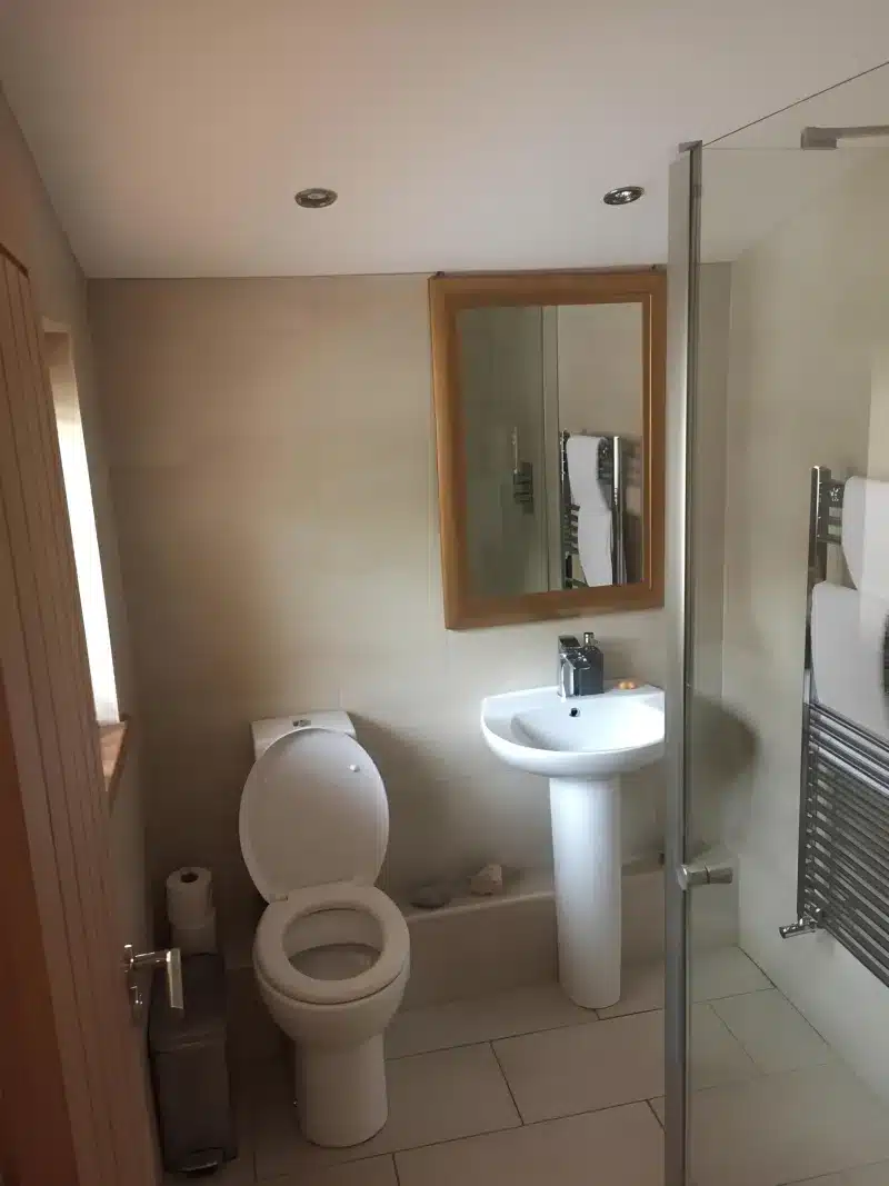 Walk-in shower, toilet and pedestal basin in the private bathroom.