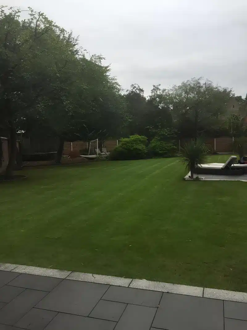 Lawn, trees and a sun lounger beyond the lodge's dark paving.