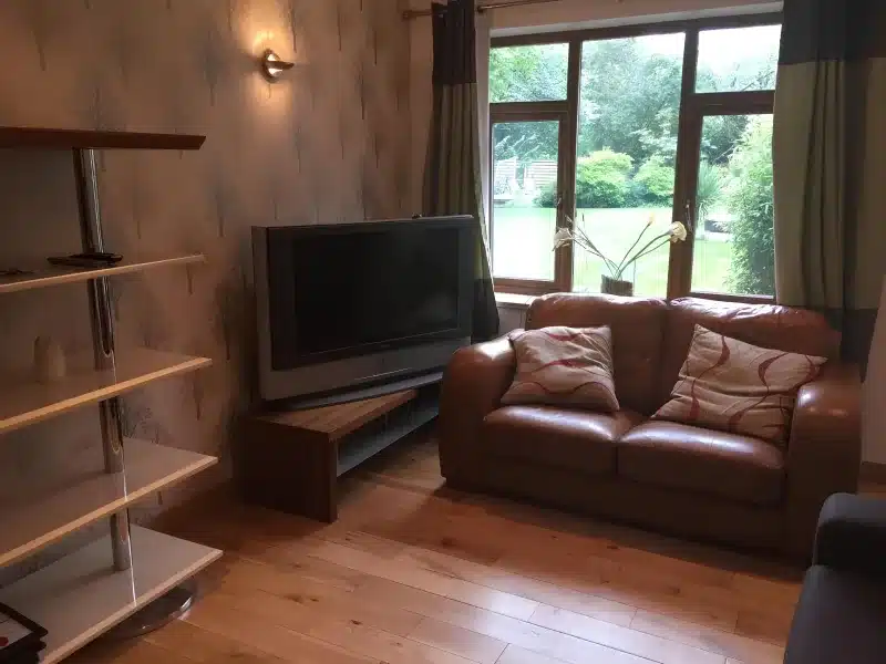 Brown leather sofa, television and garden window in the sitting room.