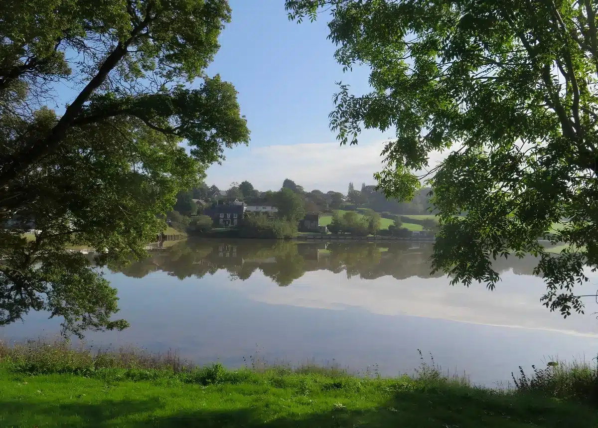 Trees frame the Old Mill Pond with houses reflected across the water at Wootton Bridge